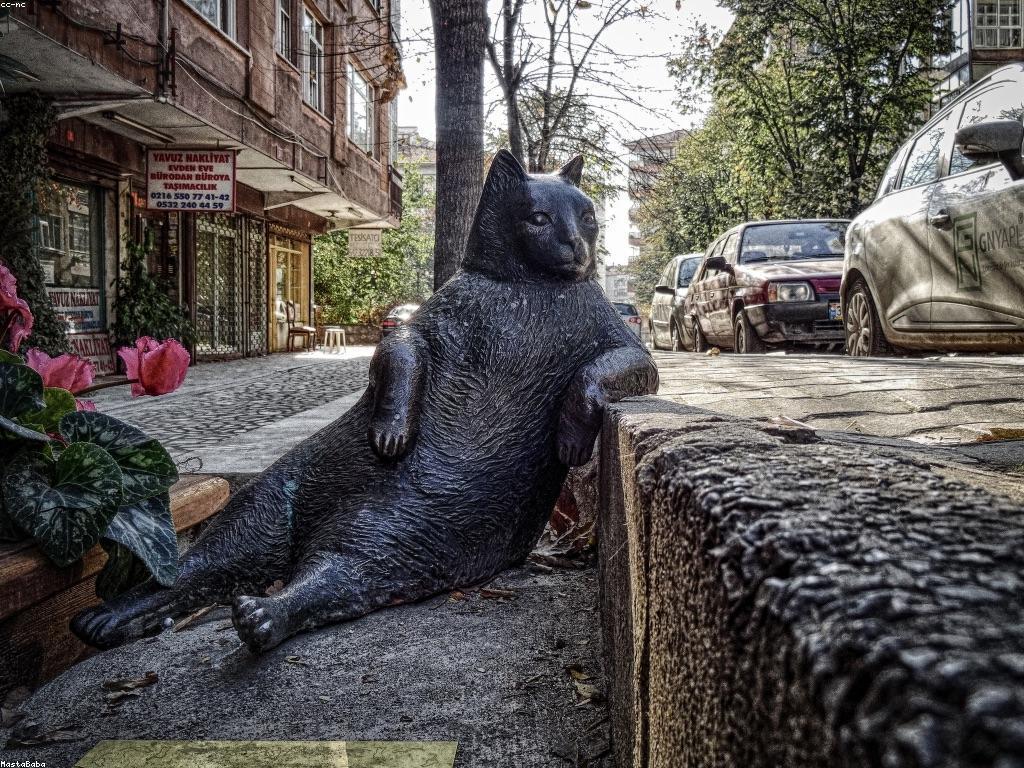 នាវចរណ៍នៃបច្ចេកវិទ្យានៅលើអ៊ីនធឺណិត